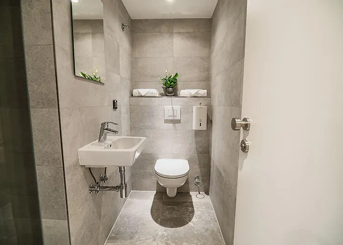 Dragons Dream Auberge de jeunesse Ljubljana